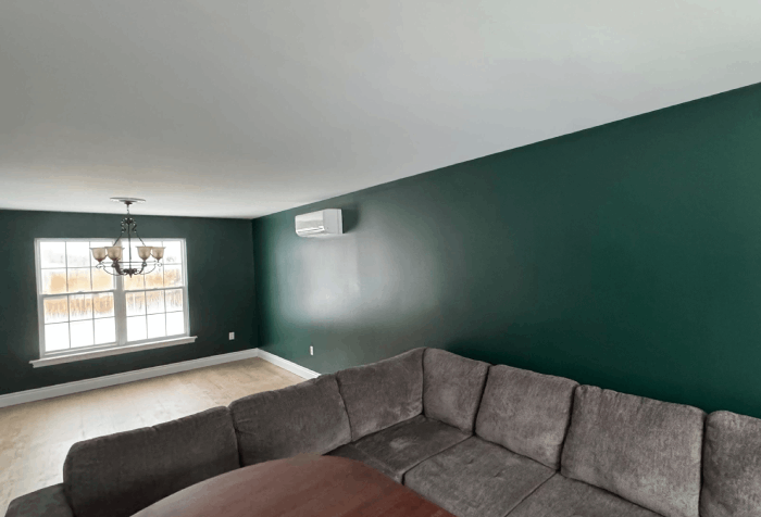Luxury interior painting